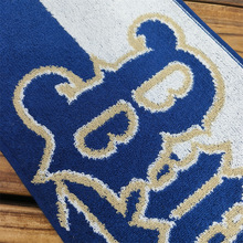 特价款 日单网红潮牌迪某特厚实款运动毛巾 双面线圈亲肤吸汗