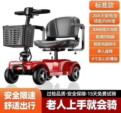 Electric Vehicle, Foldable Two-Seater – Qatlanan elektrik velosipedlər - standard-20a-tianeng