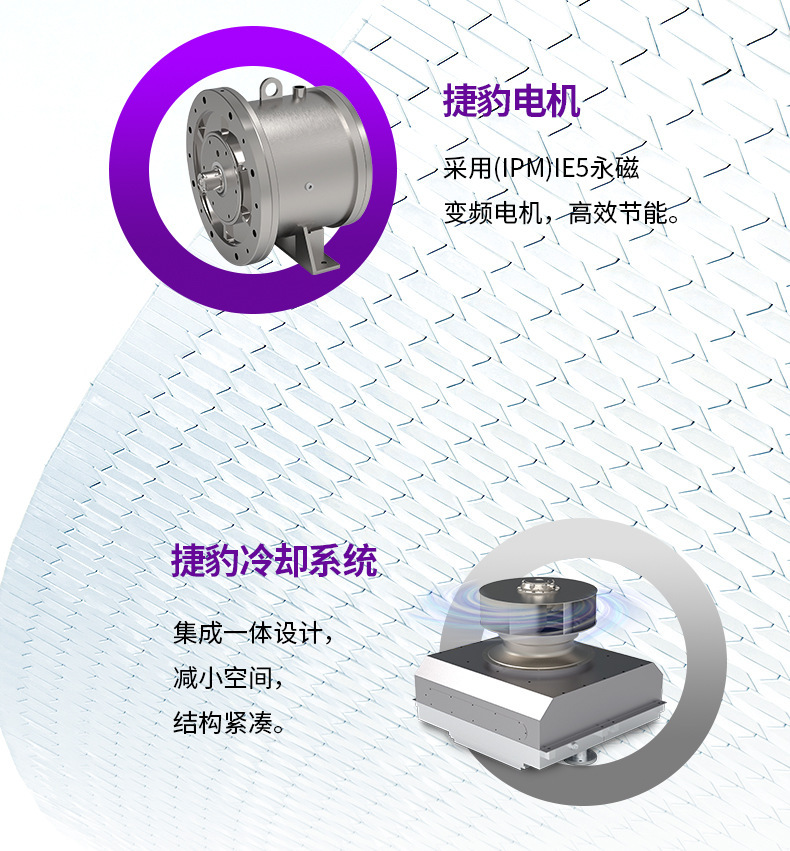 Jaguar Oil-Free Air Compressor Oil-Free Dry Screw Air Compressor 75/100/150Kw Air Compressor 75 Kilowatts