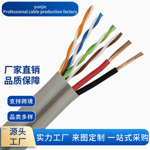 �҃� Cat5e UTP LAN ��|���� 2c �Դ���_�]·�ҕ��|