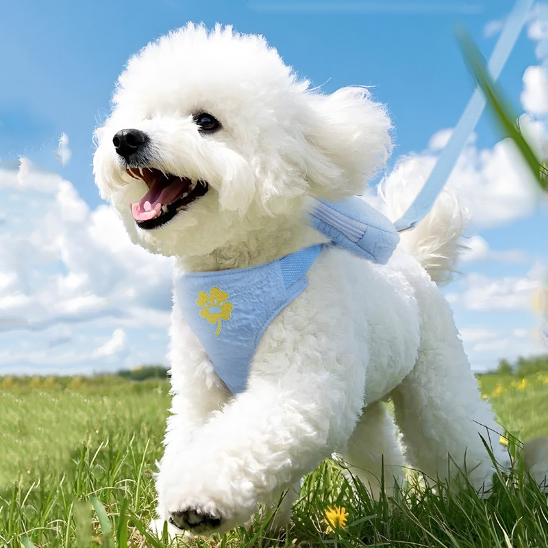 Los perros salen flores frescas bordadas mochila estilo chaleco espalda espalda para pasear a los perros cuerda de gato cuerda de tracción para perros