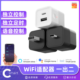 Tuya Smart Wifi Power Adapter USB Converter Type-C Remote Control Timer Light Strip with Brass Wire Core
