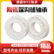 WYZ德国氧化锆全陶瓷轴承6006 6007 6008 6009 6010 6011CE