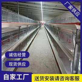 鸡笼肉鸡笼全自动半自动立式肉鸡笼 养殖场用自动肉鸡笼H型肉鸡笼