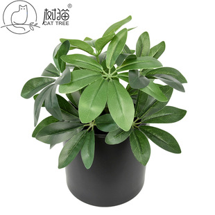 ����ֲ��63�~���_ľ�ָ��z������ľ���~���k���ҾGֲ�blؔ���~