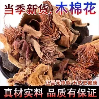 木棉花中药材干货新货斑枝花干泡茶广式五花茶材料泡水煲汤料批发