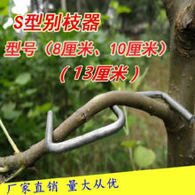 ������֦���e֦���F�z����s�h��֧��֦��֦�ۼ����������������