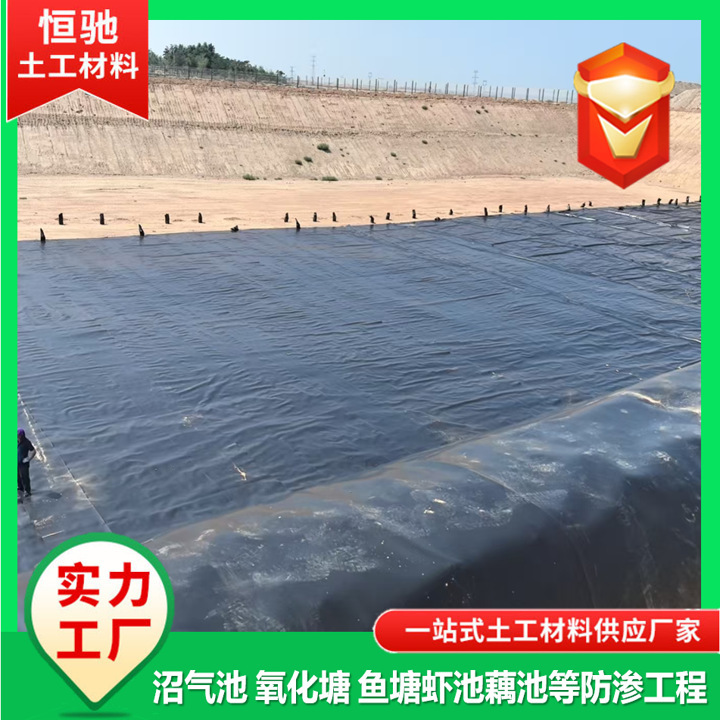 国标全新料hdpe土工膜 0.3-3.0mm 加厚边坡护坡防渗膜|undefined