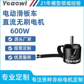 无刷有感直流大扭矩马达清洁机器人吸尘器汽车平衡杆涵道喷雾电机