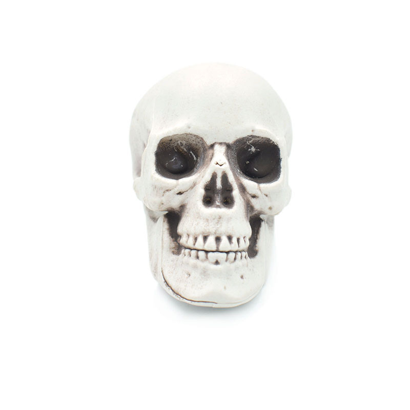 terror Skull Bone Haunted House Chamber of Secrets Site arrangement Plastic prop Skull Halloween Skull skeleton