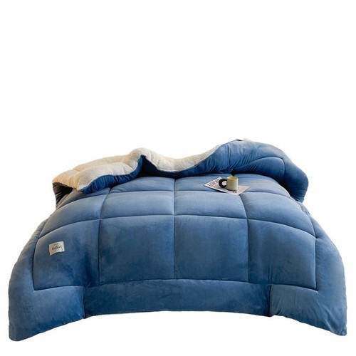 Cross-border exclusive lamb wool and cotton quilt core winter quilt double-sided fleece thickened warm student dorm single bed winter