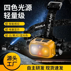 手电筒;头灯头戴电筒;骑行灯
