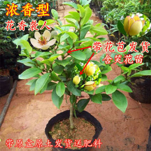 ���ں�Ц�������ͻ��܎������҃��̨�ͺ��ļ�����ֲ������5����