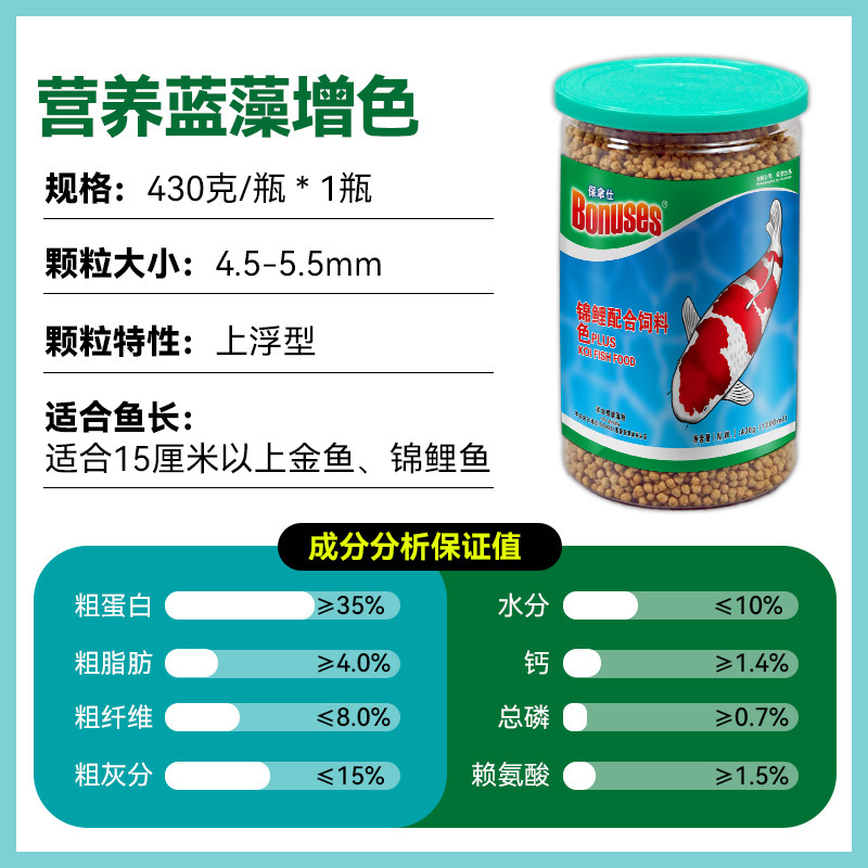 아름다움을 더해주는 잉어 430g