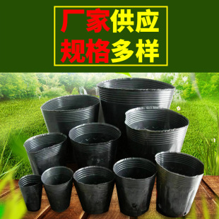 Seedling Pot Wholesale Fleshy Flower Planting Seedling Pot Black Plastic Seedling Cup Seedling Bag Disposable Nutrition Pot