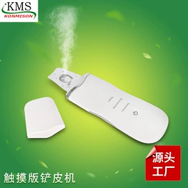 电子美容仪;其他美容仪器;其他美体瘦身