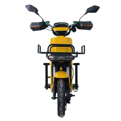 Supply from Foreign Trade Manufacturers, Elektrikli motosikletlər
