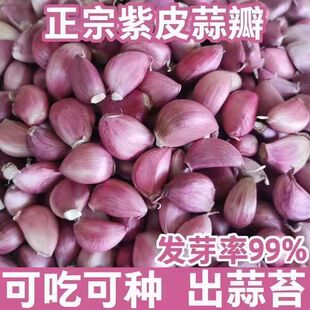 ����N����Ƥ��N��N�Ӵ���N��̦�N̦��N��Ƥ�������N�N�ӏS