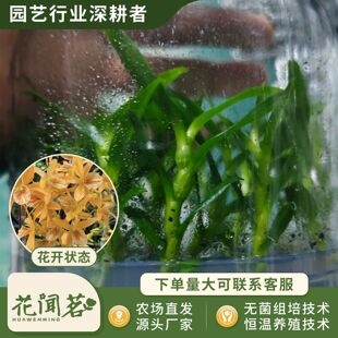 ��ʯ�� 3072 �S���Bƿ���׳ɻ�M��С�� �҃������Ի�������r��