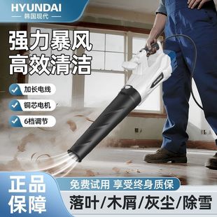 220V Plug-In Hair Dryer Leaf Blower Snow Blower High-Power Industrial Blower Powerful Storm Gun Dust Removal