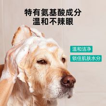 狗狗沐浴露持久留香杀螨除臭止痒除虱灭蚤宠物洗澡用品