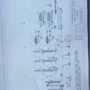工艺充分优化流程银杏叶