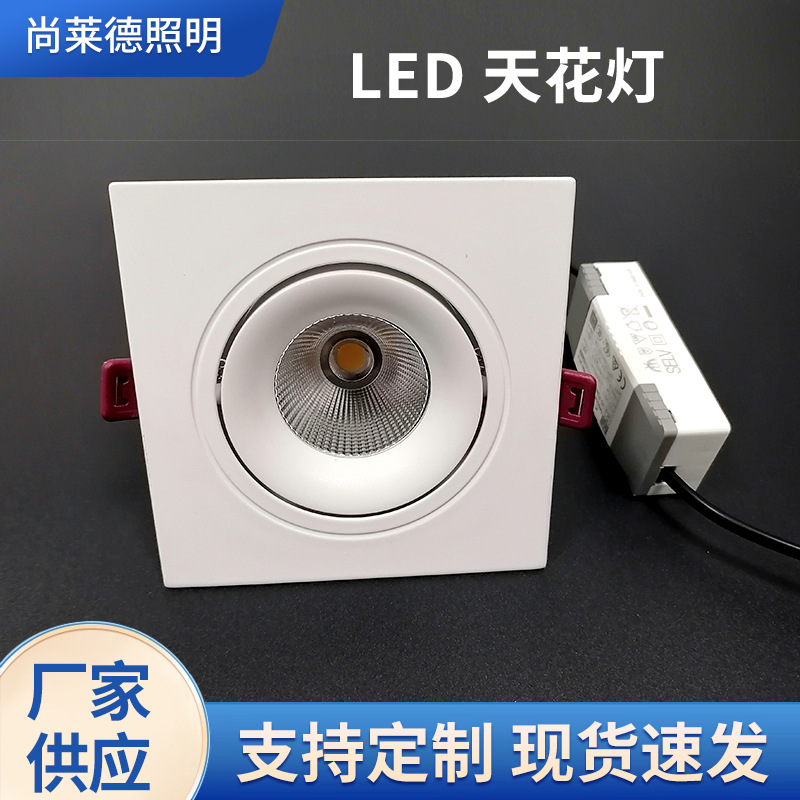 LED ceiling light