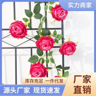 �ܵ��Nޱ���쾰ͥԺ�����¼�����õ�廨�ٻ��ړ�����b��ٗl�羳