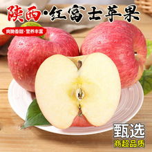 正宗红富士苹果应当季新鲜大果3/5/9斤水果陕西现摘整箱批发