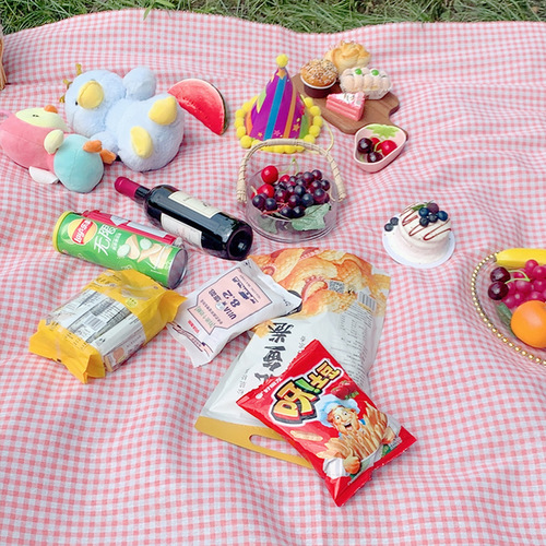 Foreign trade outdoor camping picnic mat small fresh plaid ins style picnic tablecloth spring outing portable lawn mat wholesale