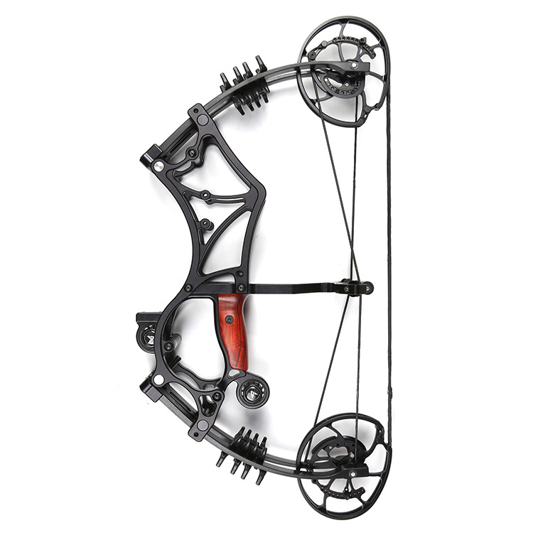 Высокоточный дорожный профессиональный комбинированный лук, стрельба из лука