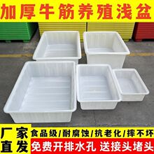 加厚牛筋塑料水箱水产养殖养龟海鲜摆摊大号搅拌长方形浅盆周转