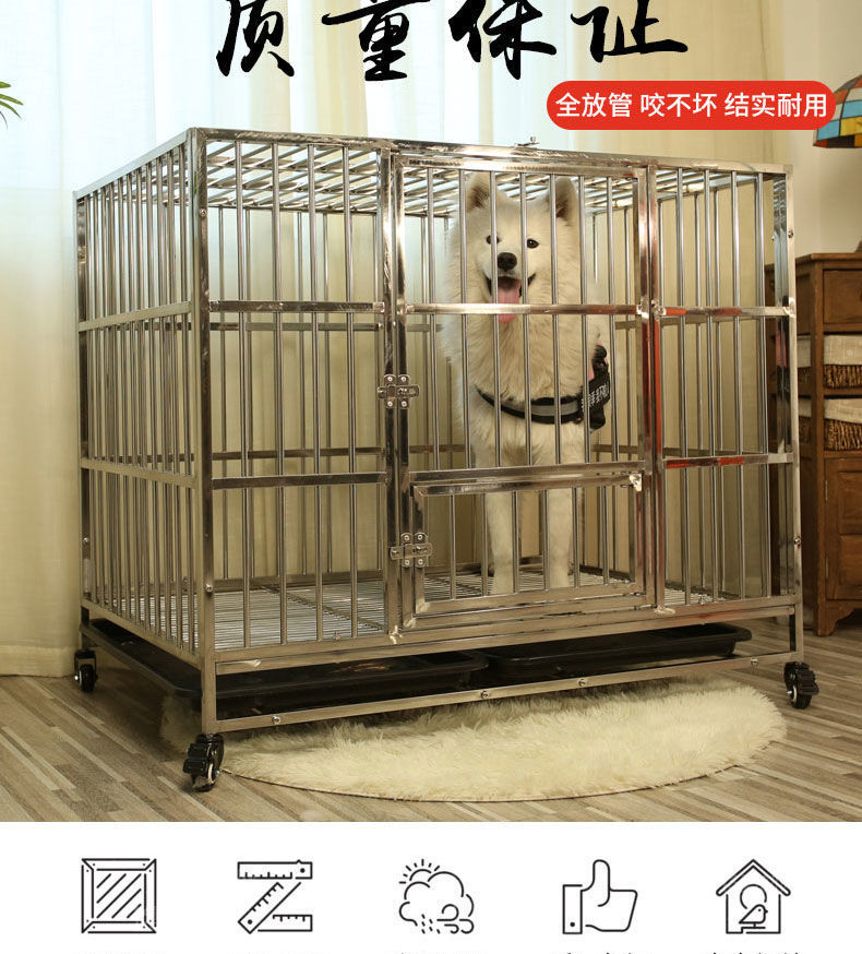 81f3f318-25d5-457d-8995-6ae9c9f92afb.jpe