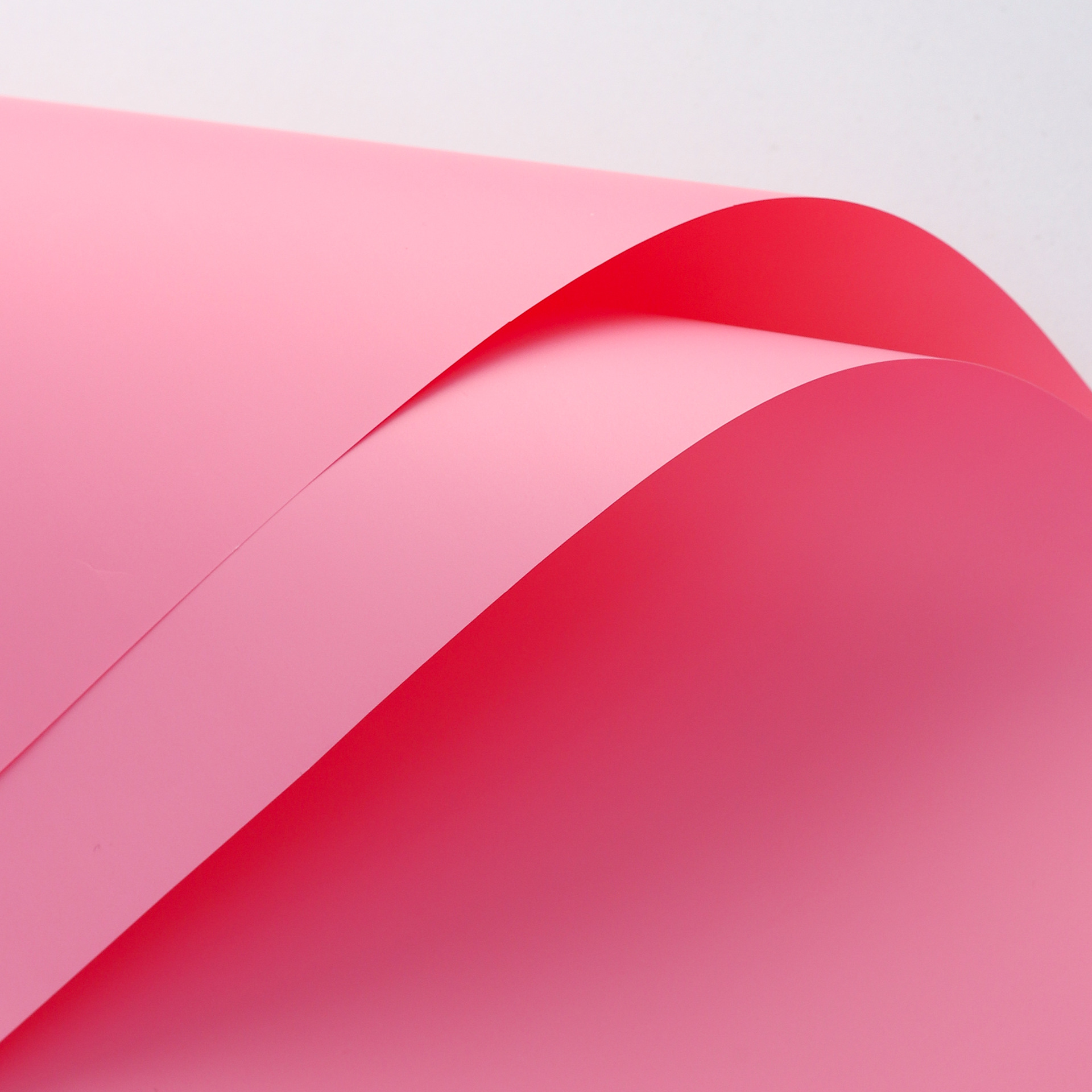 47 polvo Meiya; 56cm,20 hojas