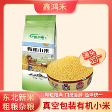 ���ږ|���SС��2025���r�����r���������ŴС�װ�������s�Z�ּZ