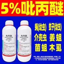 5%�������nω�����x�����Ú��x������ω���x���ǌ���ș��Ʒ�r�Y