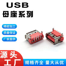 �����usb2.0AFĸ�� ����90��ǰ���_��� ���w10mm�tɫ�zо�B����