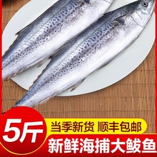 ���������ʻ�������������������䶳�໨�������㺣������������