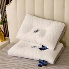 护颈枕芯云端舱枕头乳胶枕太空枕头48*74一只装量大价优可代发