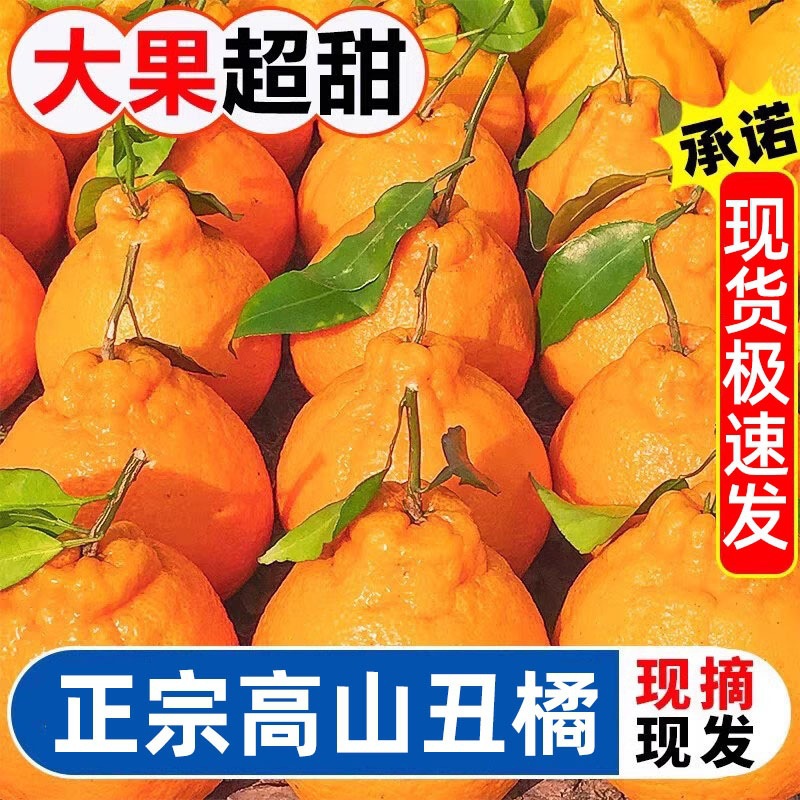 新鲜四川耙耙柑粑粑柑春见丑橘当季新鲜水果丑八怪橘子丑橘子9斤