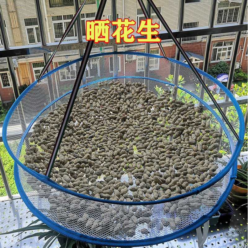 多功能晒菜网晾衣网袜子网兜阳台晒网晒干货晒萝卜鱼干防蝇笼跨境