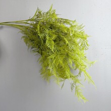 仿真文竹禅意古风摆放家居装饰仿真云片松刺蕨草植毛文竹中式文竹