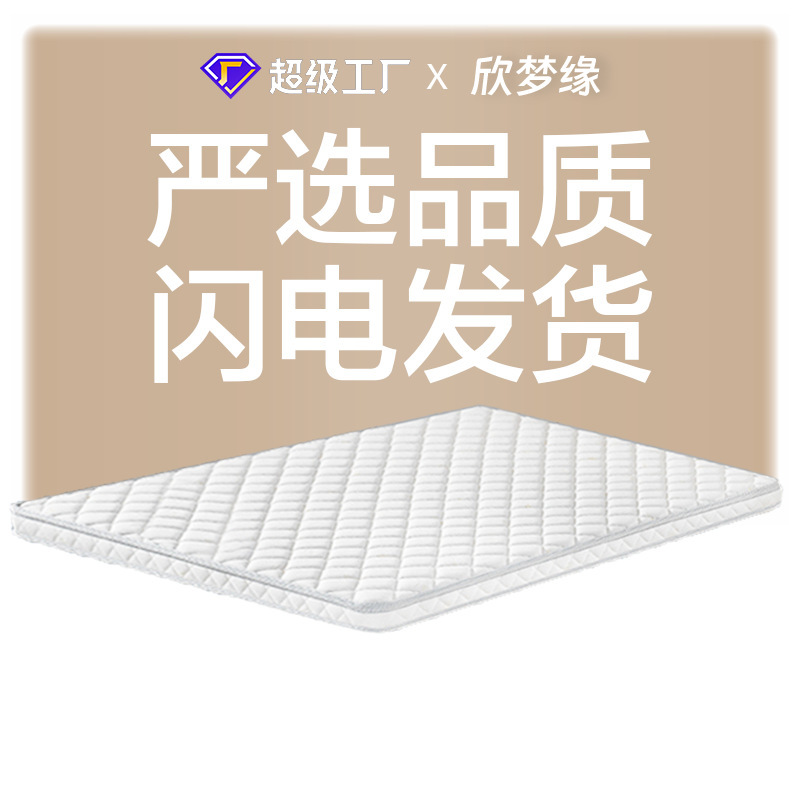 Manufacturer 3E Coconut Palm Mattress Hotel Homestay Student Dormitory Combination Children's Mattress Coconut Palm Mat Foldable Spine-Protecting Customizable