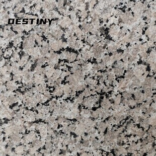 �����t��������֦��ë�� ���B�b�� �e���⠝�ɒ�ʯ�ďS��ֱ��