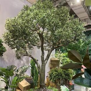 现货人造室内户外假大树 仿真橄榄树 景区绿化假树 大型玻璃钢树-阿里巴巴