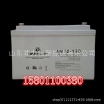 艾默科AMERCOM蓄电池AM12-55 12V55AH配电柜 EPS电源