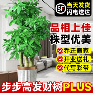�����߰lؔ�����Uԭ���͏d�����Դ��;Gֲ���w�¾��k�����_�I�ͶY