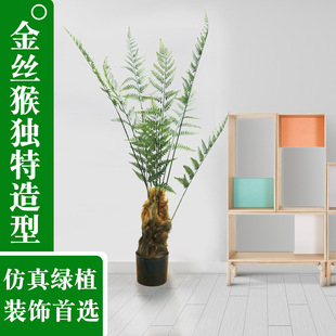 �����Gֲ��͏d����٘��z���I���^ާ�ֲ���҃������b��쾰