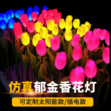 LEDز廨l⻨bˮʟ