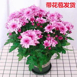 ���m�ջ��r�����Ի��ܾGֲ�ջ�����������С�r�ն��^ǧ�^�Վ�����